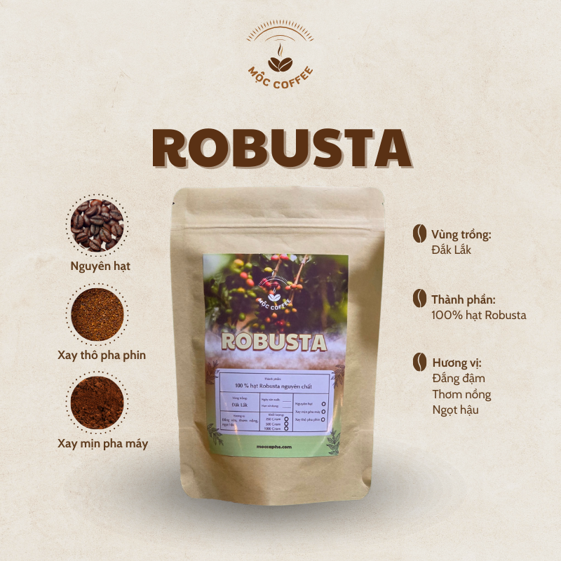 Hạt Robusta nguyên chất 100%