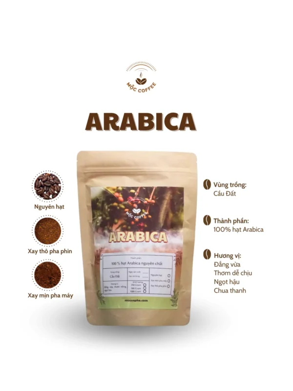 CÀ PHÊ HẠT ARABICA NGUYÊN CHẤT