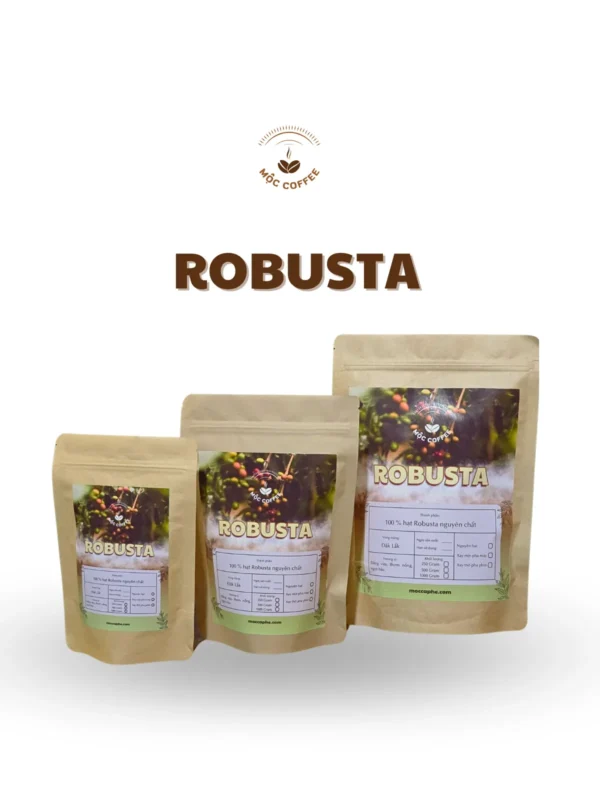 CÀ PHÊ HẠT ROBUSTA NGUYÊN CHẤT TỪ THIÊN NHIÊN 1