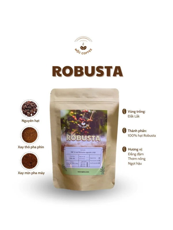 CÀ PHÊ HẠT ROBUSTA NGUYÊN CHẤT