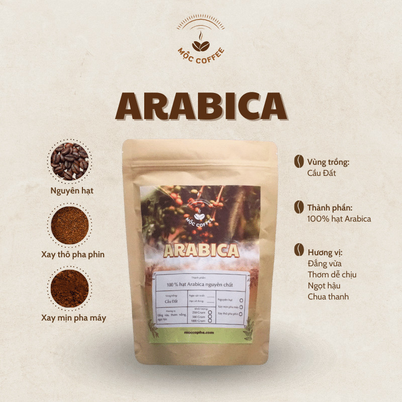 Hạt cà phê arabica và robusta khác nhau như thế nào?