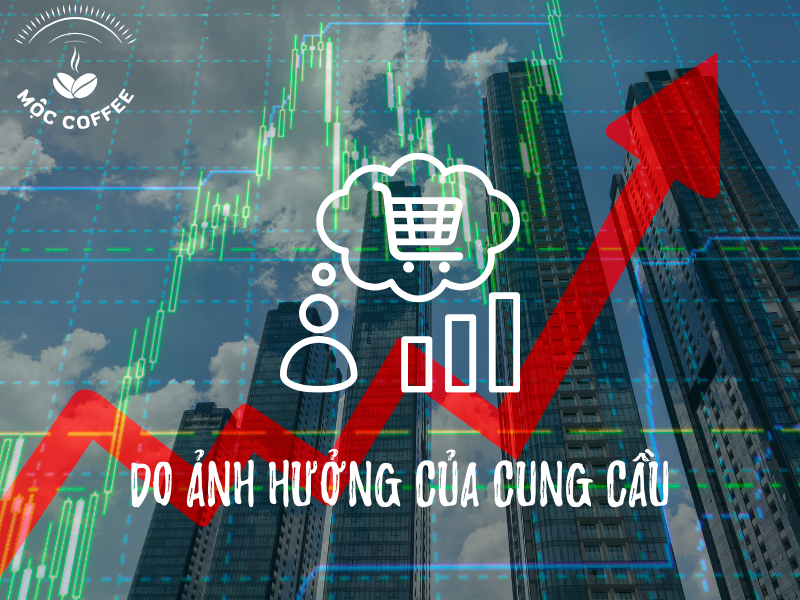 do ảnh hưởng của cung cầu