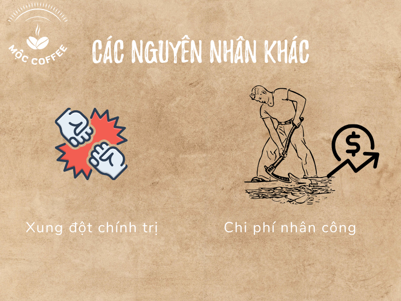 Các nguyên nhân khác