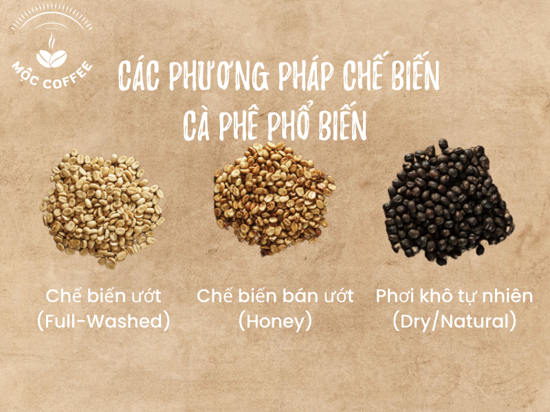 Các phương pháp chế biến cà phê phổ biến