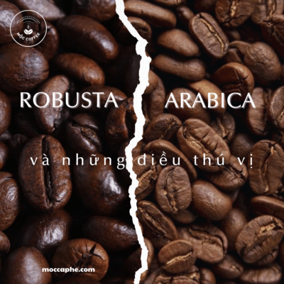 robusta và arabica