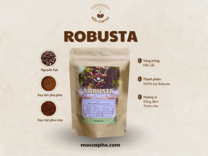 Cà phê hạt Robusta nguyên chất 100%