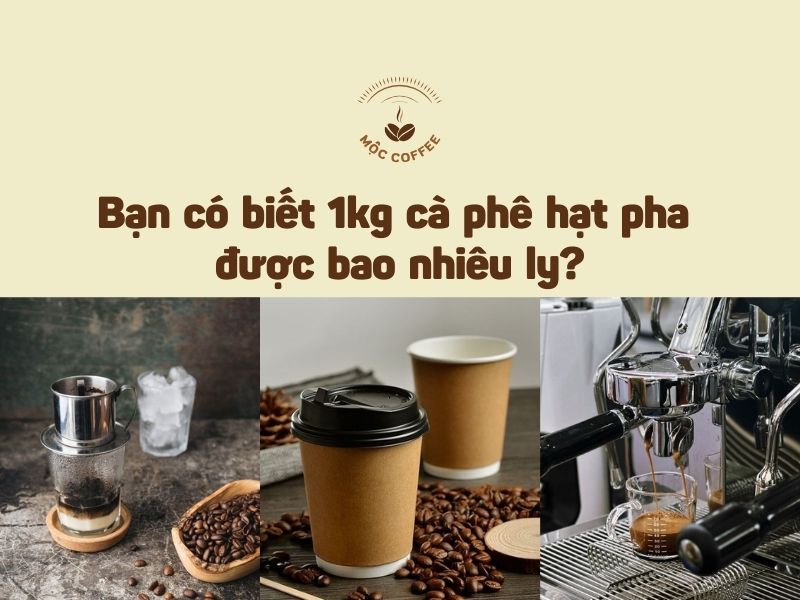 Bạn có biết 1kg cà phê hạt pha được bao nhiêu ly