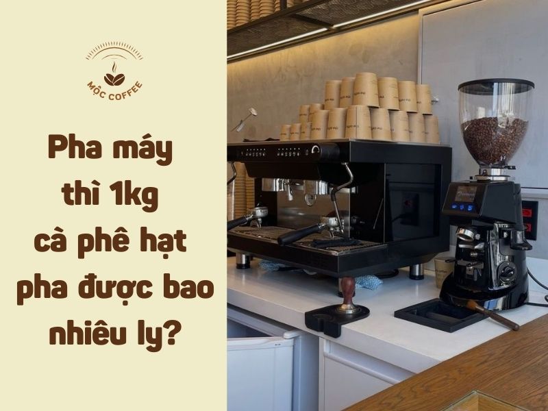 Pha máy 1kg cà phê hạt pha được bao nhiêu ly 