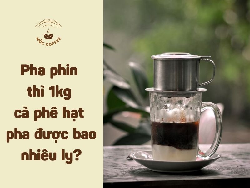 Pha phin thì 1kg cà phê hạt pha được bao nhiêu ly 