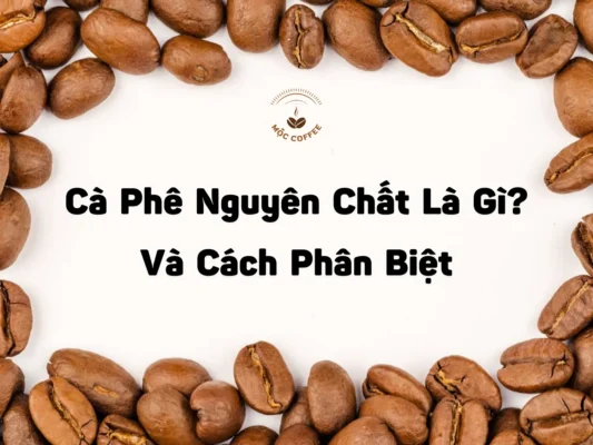 Cà Phê Nguyên Chất Là Gì Và Cách Phân Biệt