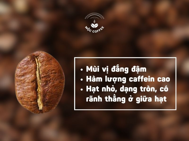 Hạt Robusta có vị gì 1