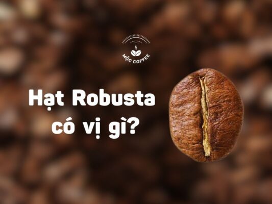 Hạt Robusta có vị gì?