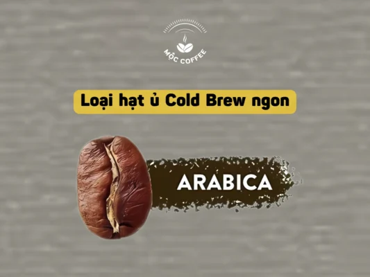 Loại hạt ủ Cold Brew ngon