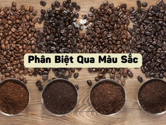 Phân Biệt Qua Màu Sắc