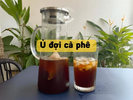 Ủ đợi cà phê